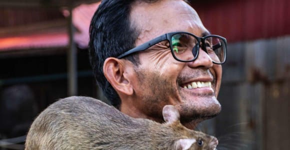 Siem Reap: APOPO Hero Rats & Lotus Silk Farm Boat Tour