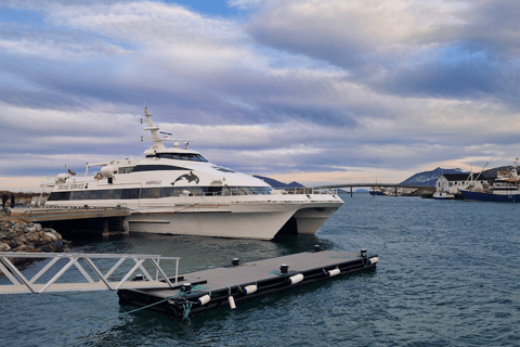 Tromsø Fjord Cruise - With a stop at Sommarøy Island