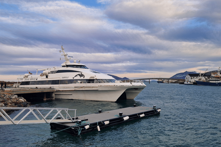 Tromsø Fjord Cruise - With a stop at Sommarøy Island