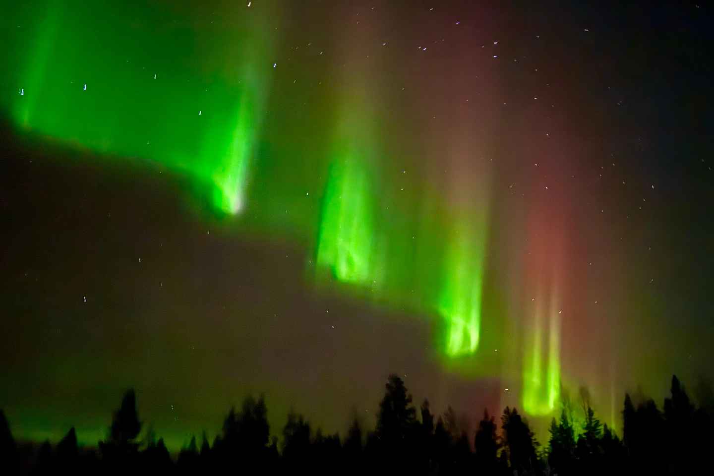 Rovaniemi: hunting for the Northern Lights with BBQ
