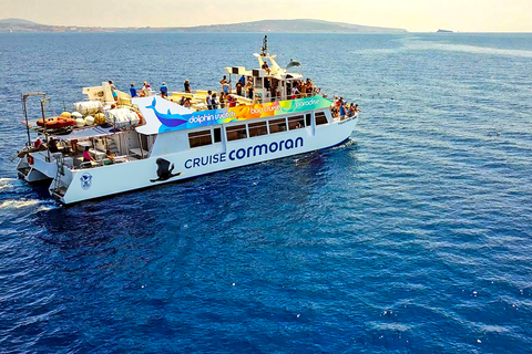 Mallorca: Crucero para avistar delfinesPaguera: encuentro en playa Tora