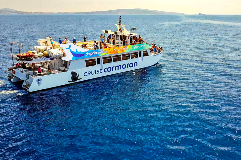 Maiorca: Crociera con osservazione dei delfiniPeguera: punto d&#039;incontro a Platja Torà