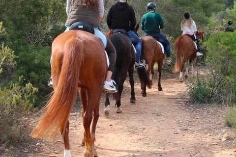 Alicante: Sierra Helada Natural Park Horseback Ride