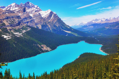 Banff : circuit du lac Louise, du lac Emerald et du lac Moraine