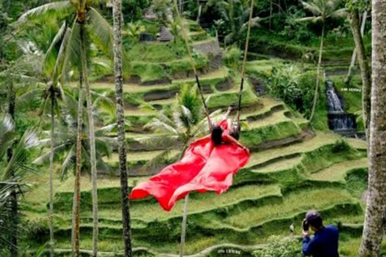 Ubud: Monkey Forest, Rice Terrace ticket included