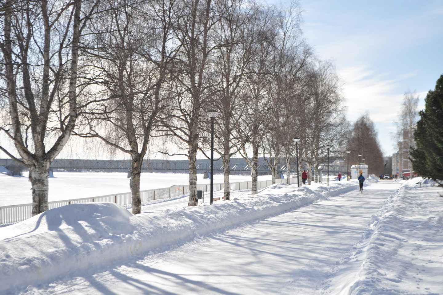 City tour and Santa Claus village visit in Lapland