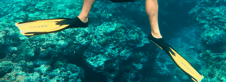 Sortie Snorkeling en palmes, masque, tuba sur la barrière de corail !