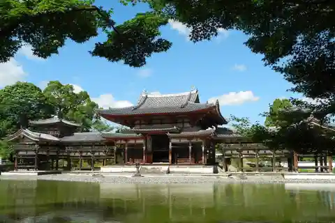 Tour particular de um dia em Kyoto e Uji: Santuário encantador e Matcha