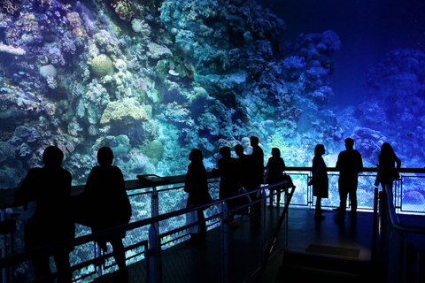 Dresden: Entry fee - 360° panorama "Great Barrier Reef" at Panometer Dresden Dresden: Entrance fee - 360° panorama "Great Barrier Reef" in the Panometer Dresden