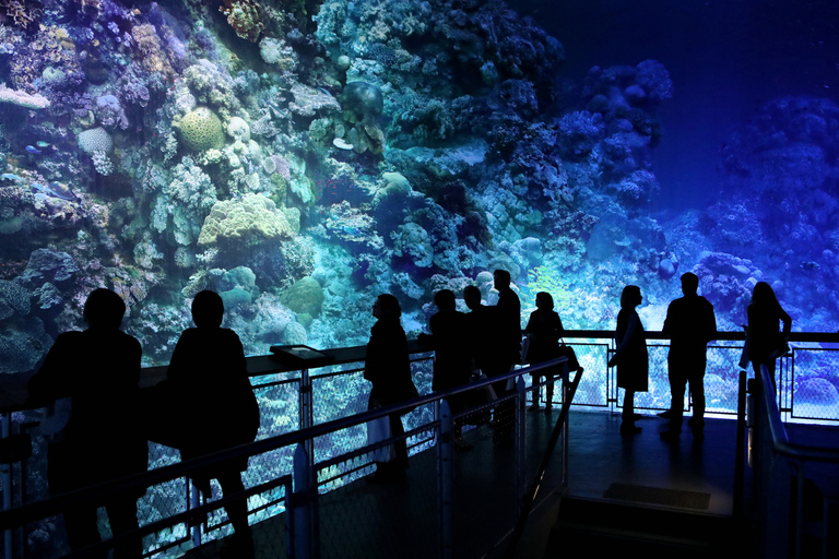 Dresden: Entry fee - 360° panorama "Great Barrier Reef" at Panometer Dresden Dresden: Entrance fee - 360° panorama "Great Barrier Reef" in the Panometer Dresden
