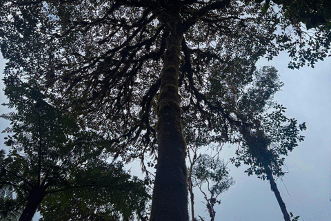 Quito: 2-Day Cloud Forest Experience