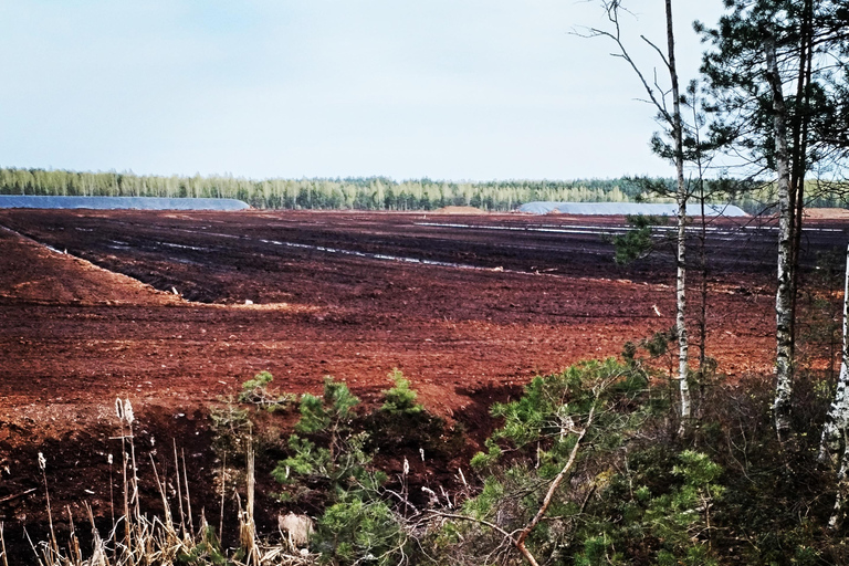 Cenas Bog trail near Riga for Nature lovers