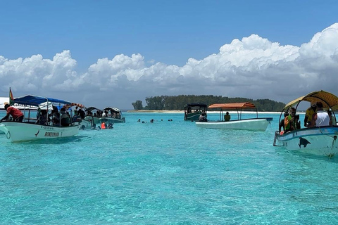 Sansibar: Mnemba Island Delphine &amp; Schnorcheln | MITTAGESSENMnemba Island Schnorcheln | SHARING - Ganztagestour