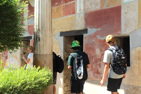 Z Neapolu: Pompeje i Wezuwiusz z lekcją robienia pizzy