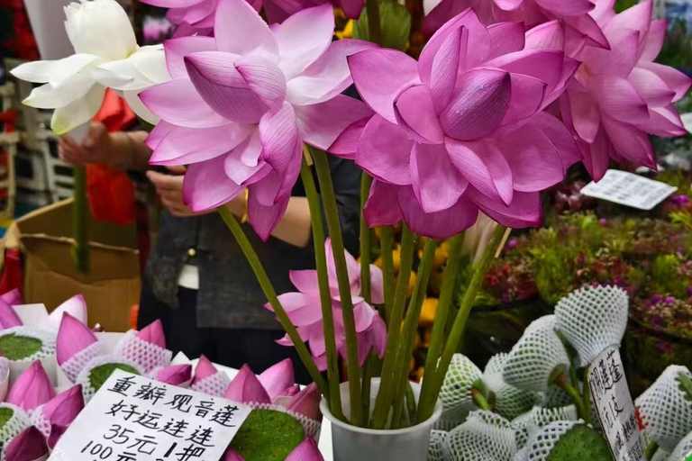 From Kunming: 7-Day Yunnan cultural private Tour