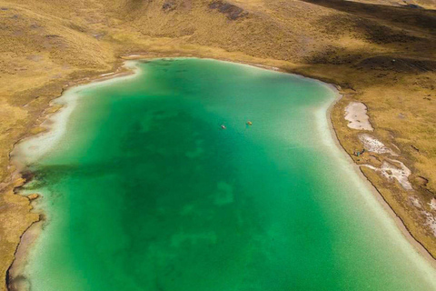 Ayacucho: Adventure in the Verdeqocha Lagoon |Private|