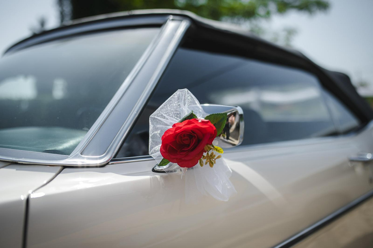 Genève: privé-dagtrip naar Montreux, Lausanne en Gruyères