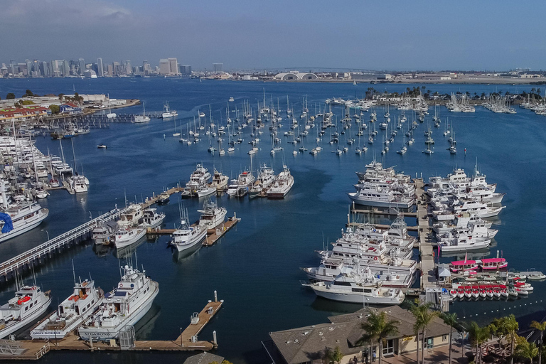 San Diego: Elektrische boot huren met parasol