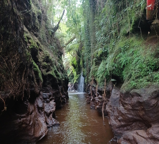 Activités de plein air, aventures, sports à Matamata (Nouvelle-Zélande)