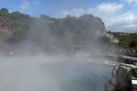 Auckland : Waiotapu & Māori Village Guided Tour with Haka