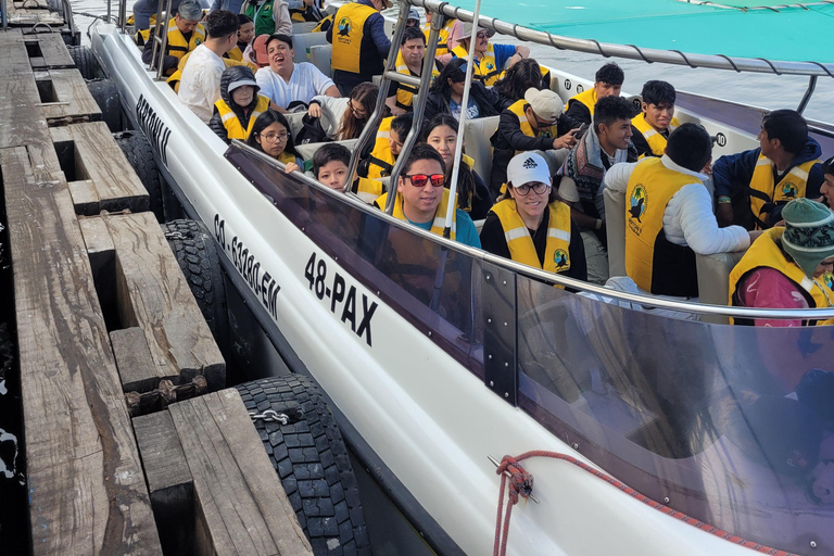 Ica: Full day to the Ballestas Islands and the Paracas National Reserve Ica: Full Day to the Ballestas Islands and Paracas National Reserve