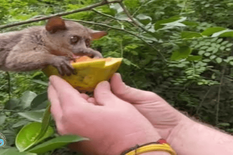 Zanzibar: Nungwi Kilosa dierentuin tour