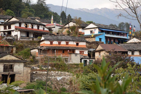 Pokhara : Journée de randonnée à Astham et au village de Dhampus