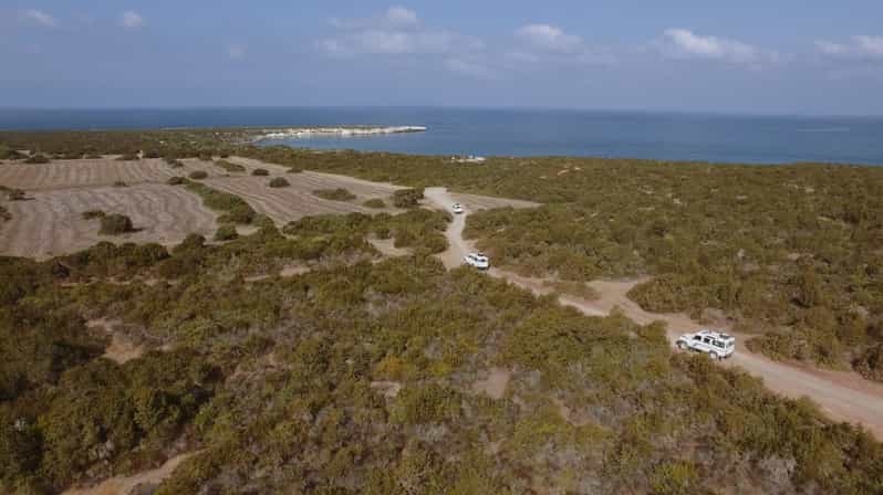 Akamas Jeep Safari Tour from Paphos