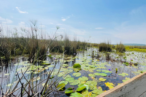 From Kampala: Mabamba Swamp Birding Half-Day Tour From Kampala: Mabamba Swamp Birding Day Tour