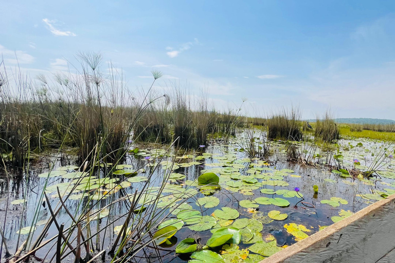 From Kampala: Mabamba Swamp Birding Half-Day Tour From Kampala: Mabamba Swamp Birding Day Tour