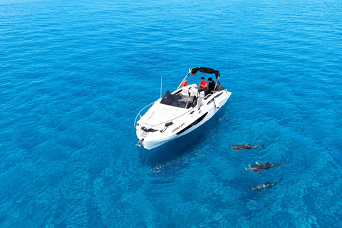 Private Madeira Coast Cruise with Swim, Snacks & Drinks