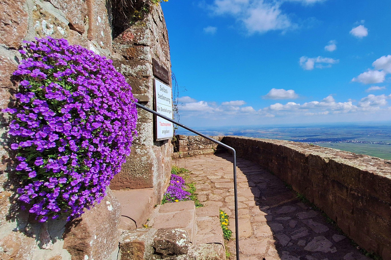 From Heidelberg: Palatinate Superlatives Adventure Tour with Panorama Box Seat Public Group Tour