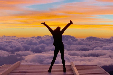 Maui: Rainforest Adventure to Hana with Photos