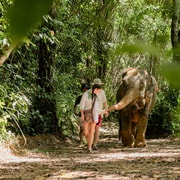 Khao Lak: Ethical Elephant Sanctuary Observation Experience Khao Lak: Ethical Elephant Sanctuary Observation Experience