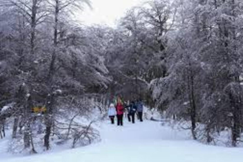 Bariloche: Full Day - Snow on the Edge - with Lunch and fun in the Mountains Bariloche: Full Day - Snow on the Edge - with Lunch and fun in the Cordillera