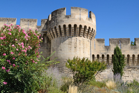 Best of Avignon: Privat rundvandring med en lokal guidePrivat tur med stadsvandring - 3Hr