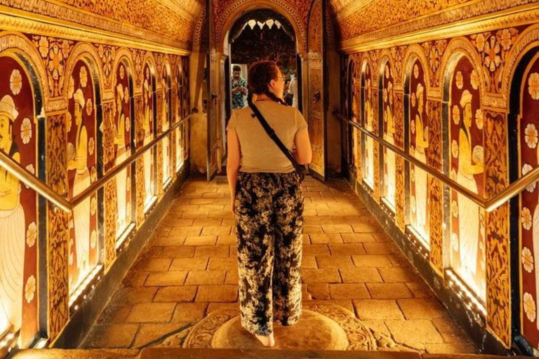 Kandy: Temple of Tooth, Train Ride, & Cave Waterfall Tour