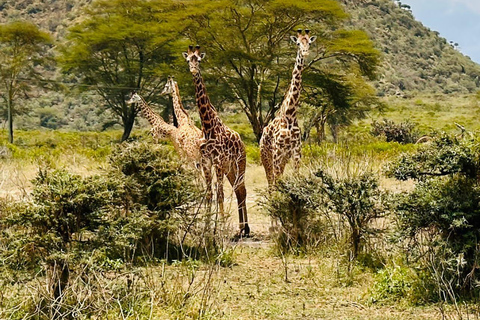 Tour in bici a Hell&#039;s Gate e tour in barca sul lago NaivashaTour in bici all&#039;Hell&#039;s Gate e safari in barca sul lago Naivasha