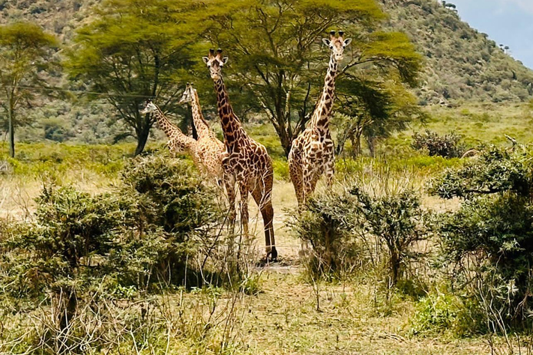Tour in bici a Hell&#039;s Gate e tour in barca sul lago NaivashaTour in bici all&#039;Hell&#039;s Gate e safari in barca sul lago Naivasha