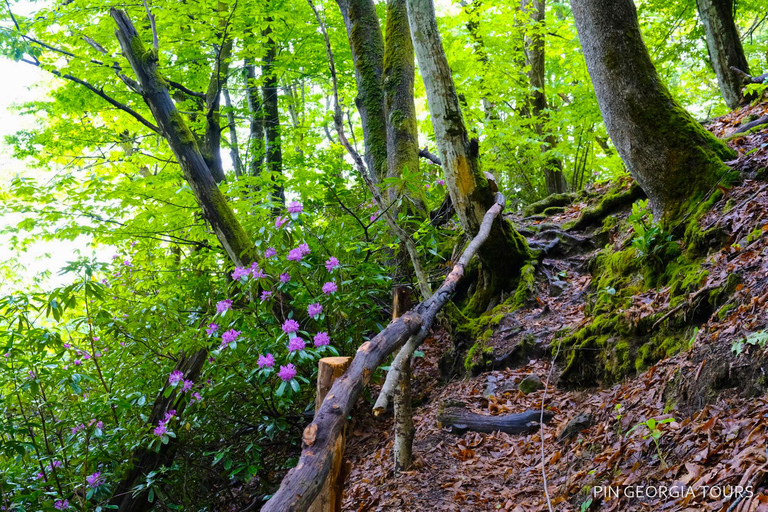 Batumi: Machakhela National Park Guided Hiking Tour Batumi: Private Hiking Tour to Machakhela National Park