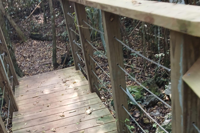 Guided Primeval Nature Walk Tour