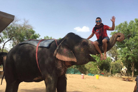 Jaipur: Hathigao Elephant Village Ride, Feeding, & Photos Riding, Feeding, Climbing And Photography with Elephant