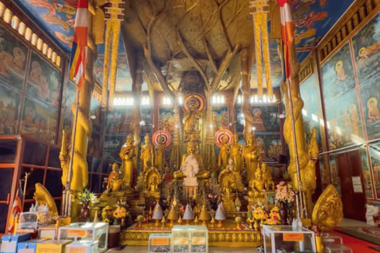 Phnom Penh: Silk Islands, Mekong River Life & Golden Temple Afternoon: Private Tour by Tuk-Tuk -English-Speaking Driver