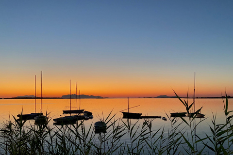 Marsala: Stagnone Lagoon Sailing Tour with Mozia Entry
