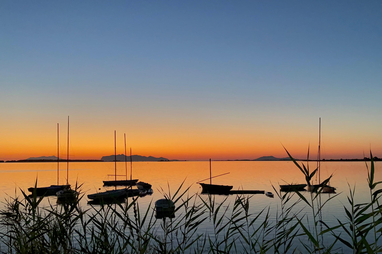 Marsala: Stagnone Lagoon Sailing Tour with Mozia Entry