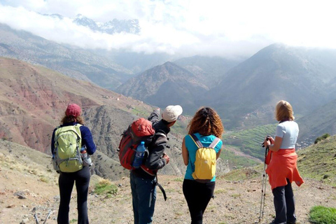 From Marrakech: Tedli Summit Atlas Mountains Day Hike