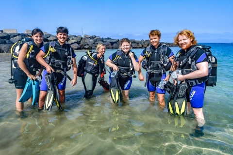 Tenerife Sur: Experiencia de buceo para principiantes