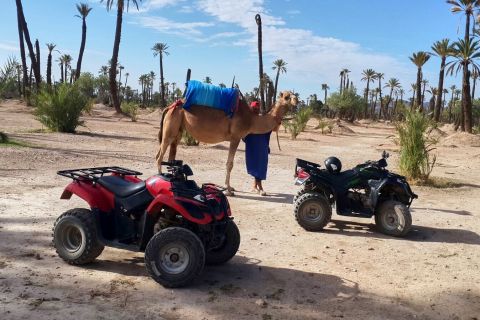 Marrakech : 2 h de quad et balade en chameau à la Palmeraie