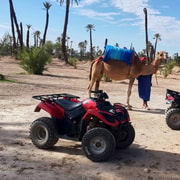 Marrakech Quad Biking and Camel Riding Tour