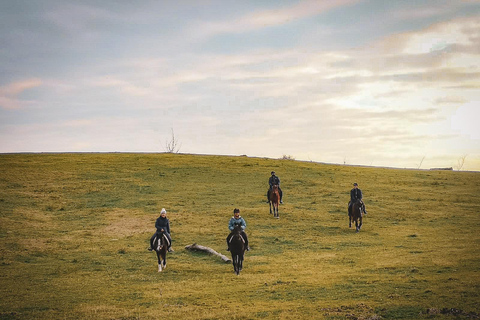 Rome: Lake Martignano Horseback Ride on a Private Estate Lake Martignano: Horseback Ride on a Private Estate